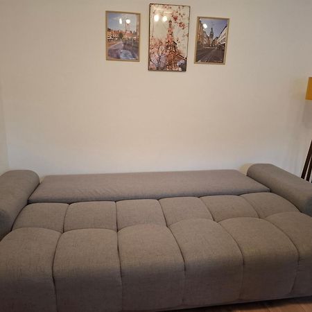 Free Garage In The Center-Delicia 4 Studio! Sibiu Exterior photo